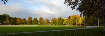 Queens Park Autumn sun and shadow.jpg
